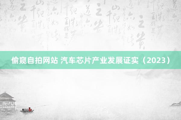 偷窥自拍网站 汽车芯片产业发展证实（2023）