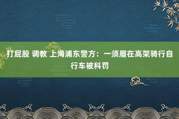 打屁股 调教 上海浦东警方：一须眉在高架骑行自行车被科罚