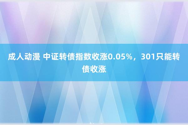 成人动漫 中证转债指数收涨0.05%，301只能转债收涨