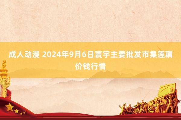 成人动漫 2024年9月6日寰宇主要批发市集莲藕价钱行情