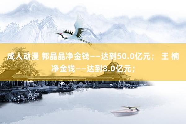 成人动漫 郭晶晶净金钱——达到50.0亿元； 王 楠净金钱——达到8.0亿元；