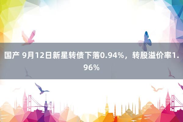 国产 9月12日新星转债下落0.94%，转股溢价率1.96%