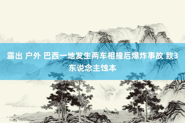 露出 户外 巴西一地发生两车相撞后爆炸事故 致3东说念主蚀本