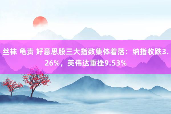 丝袜 龟责 好意思股三大指数集体着落：纳指收跌3.26%，英伟达重挫9.53%