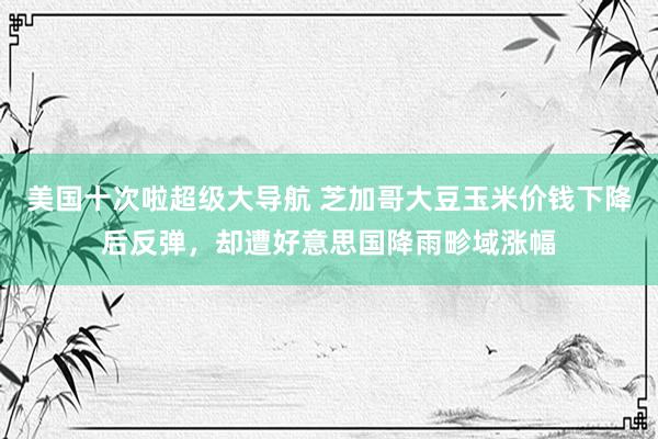 美国十次啦超级大导航 芝加哥大豆玉米价钱下降后反弹，却遭好意思国降雨畛域涨幅