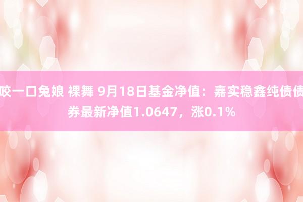 咬一口兔娘 裸舞 9月18日基金净值：嘉实稳鑫纯债债券最新净值1.0647，涨0.1%