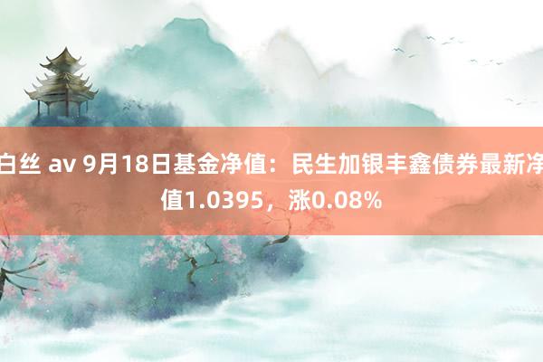 白丝 av 9月18日基金净值：民生加银丰鑫债券最新净值1.0395，涨0.08%