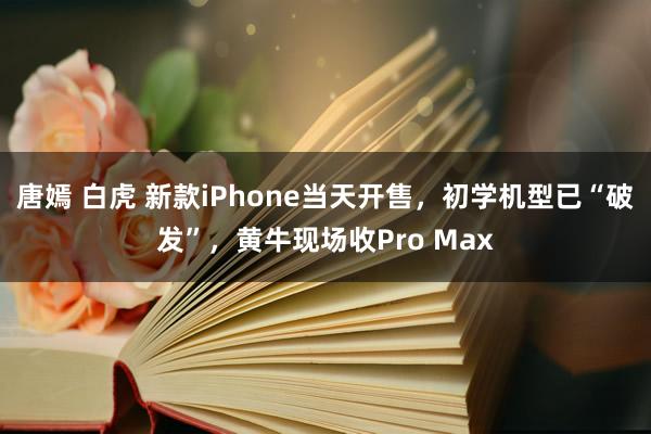 唐嫣 白虎 新款iPhone当天开售，初学机型已“破发”，黄牛现场收Pro Max