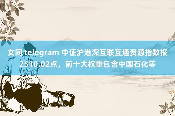 女同 telegram 中证沪港深互联互通资源指数报2510.02点，前十大权重包含中国石化等