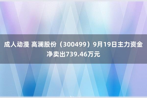 成人动漫 高澜股份（300499）9月19日主力资金净卖出739.46万元