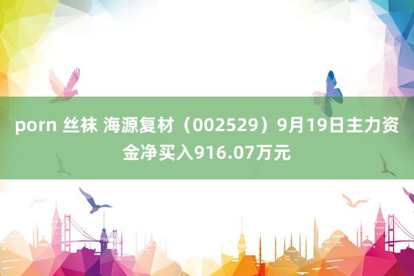 porn 丝袜 海源复材（002529）9月19日主力资金净买入916.07万元