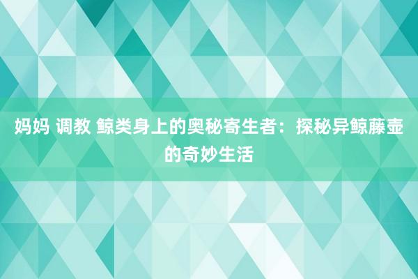 妈妈 调教 鲸类身上的奥秘寄生者：探秘异鲸藤壶的奇妙生活