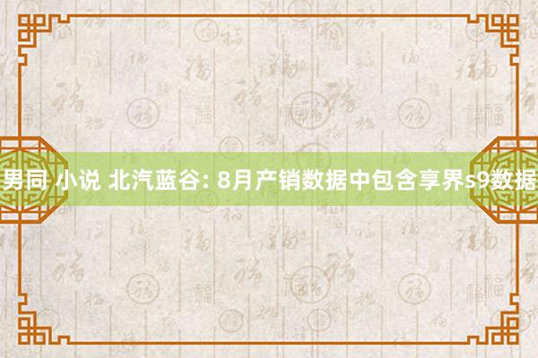 男同 小说 北汽蓝谷: 8月产销数据中包含享界s9数据