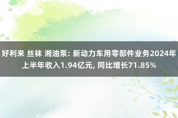 好利来 丝袜 湘油泵: 新动力车用零部件业务2024年上半年收入1.94亿元， 同比增长71.85%