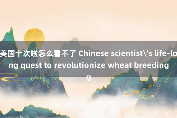 美国十次啦怎么看不了 Chinese scientist's life-long quest to revolutionize wheat breeding