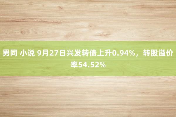 男同 小说 9月27日兴发转债上升0.94%，转股溢价率54.52%