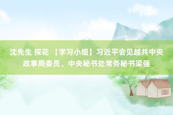 沈先生 探花 【学习小组】习近平会见越共中央政事局委员、中央秘书处常务秘书梁强