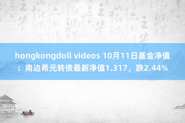 hongkongdoll videos 10月11日基金净值：南边希元转债最新净值1.317，跌2.44%