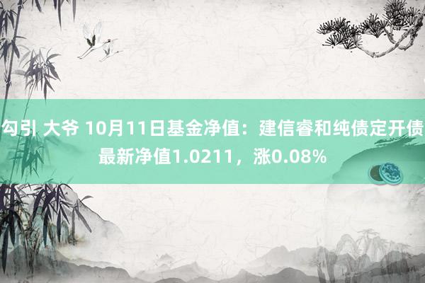 勾引 大爷 10月11日基金净值：建信睿和纯债定开债最新净值1.0211，涨0.08%