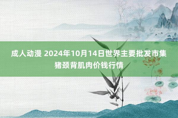 成人动漫 2024年10月14日世界主要批发市集猪颈背肌肉价钱行情