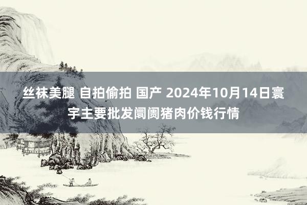 丝袜美腿 自拍偷拍 国产 2024年10月14日寰宇主要批发阛阓猪肉价钱行情