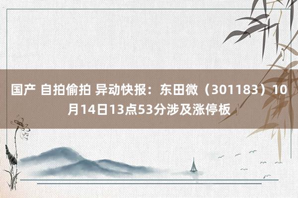 国产 自拍偷拍 异动快报：东田微（301183）10月14日13点53分涉及涨停板