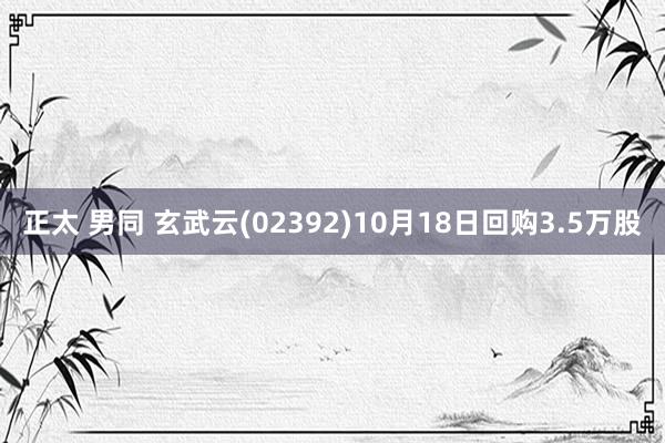 正太 男同 玄武云(02392)10月18日回购3.5万股