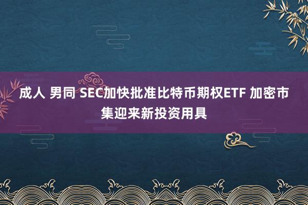 成人 男同 SEC加快批准比特币期权ETF 加密市集迎来新投资用具