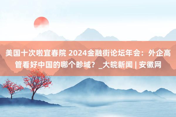 美国十次啦宜春院 2024金融街论坛年会：外企高管看好中国的哪个畛域？_大皖新闻 | 安徽网