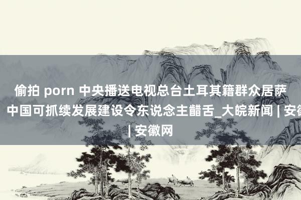 偷拍 porn 中央播送电视总台土耳其籍群众居萨尔：中国可抓续发展建设令东说念主齰舌_大皖新闻 | 安徽网