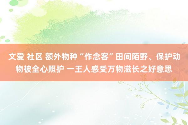 文爱 社区 额外物种“作念客”田间陌野、保护动物被全心照护 一王人感受万物滋长之好意思