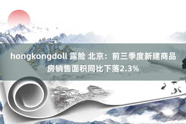 hongkongdoll 露脸 北京：前三季度新建商品房销售面积同比下落2.3%