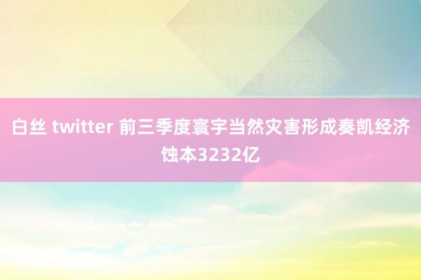 白丝 twitter 前三季度寰宇当然灾害形成奏凯经济蚀本3232亿