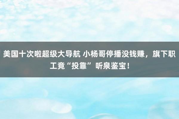 美国十次啦超级大导航 小杨哥停播没钱赚，旗下职工竟“投靠” 听泉鉴宝！