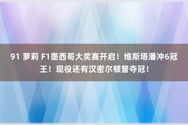 91 萝莉 F1墨西哥大奖赛开启！维斯塔潘冲6冠王！现役还有汉密尔顿曾夺冠！