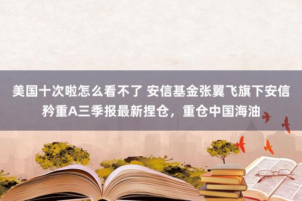 美国十次啦怎么看不了 安信基金张翼飞旗下安信矜重A三季报最新捏仓，重仓中国海油