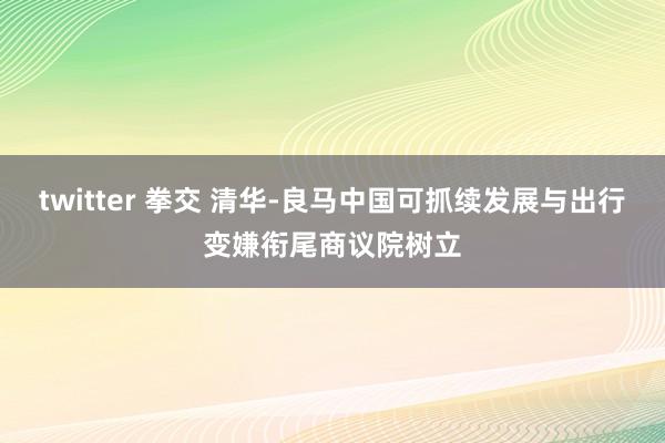 twitter 拳交 清华-良马中国可抓续发展与出行变嫌衔尾商议院树立