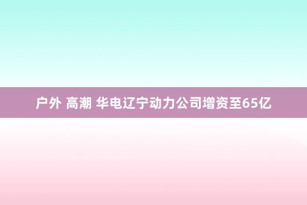 户外 高潮 华电辽宁动力公司增资至65亿