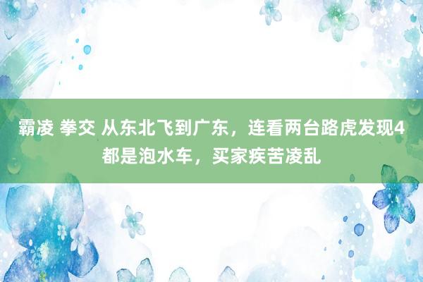 霸凌 拳交 从东北飞到广东，连看两台路虎发现4都是泡水车，买家疾苦凌乱