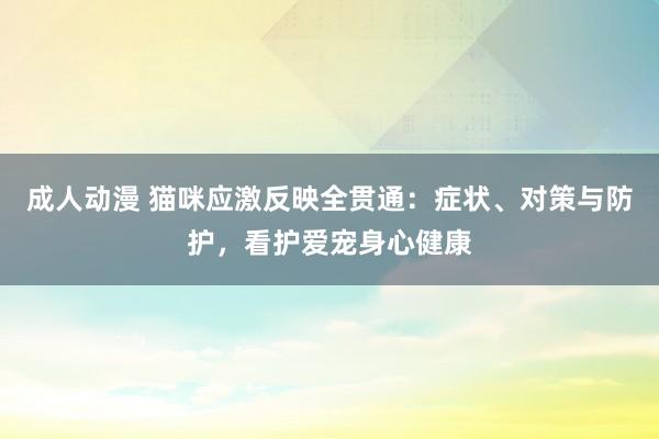 成人动漫 猫咪应激反映全贯通：症状、对策与防护，看护爱宠身心健康