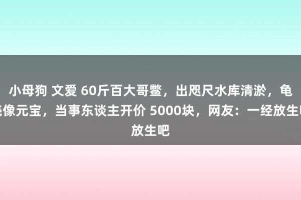 小母狗 文爱 60斤百大哥鳖，出咫尺水库清淤，龟壳像元宝，当事东谈主开价 5000块，网友：一经放生吧