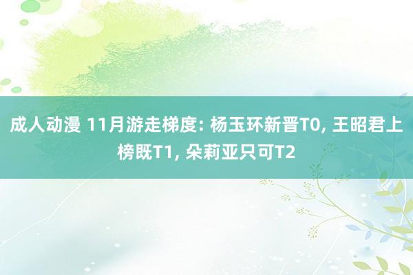 成人动漫 11月游走梯度: 杨玉环新晋T0， 王昭君上榜既T1， 朵莉亚只可T2