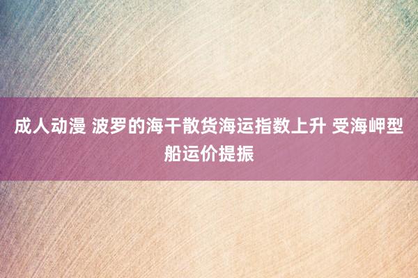 成人动漫 波罗的海干散货海运指数上升 受海岬型船运价提振