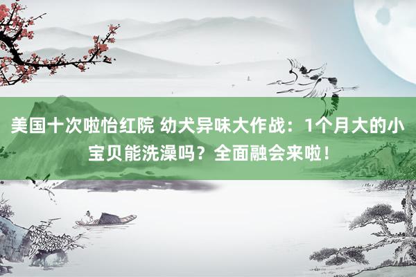 美国十次啦怡红院 幼犬异味大作战：1个月大的小宝贝能洗澡吗？全面融会来啦！