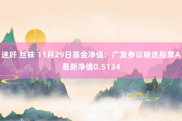 迷奸 丝袜 11月29日基金净值：广发参议精选股票A最新净值0.5134