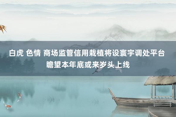 白虎 色情 商场监管信用栽植将设寰宇调处平台 瞻望本年底或来岁头上线