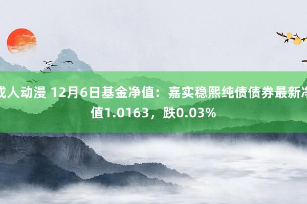 成人动漫 12月6日基金净值：嘉实稳熙纯债债券最新净值1.0163，跌0.03%