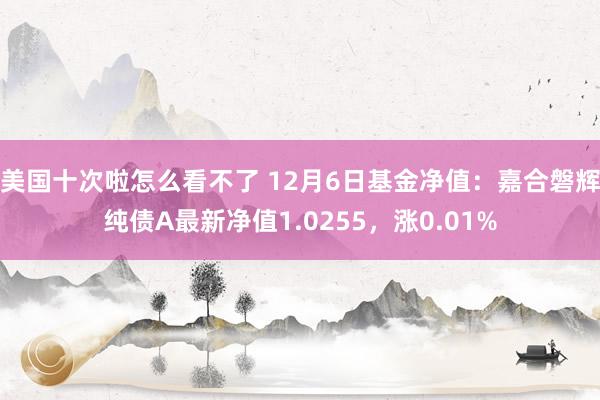 美国十次啦怎么看不了 12月6日基金净值：嘉合磐辉纯债A最新净值1.0255，涨0.01%