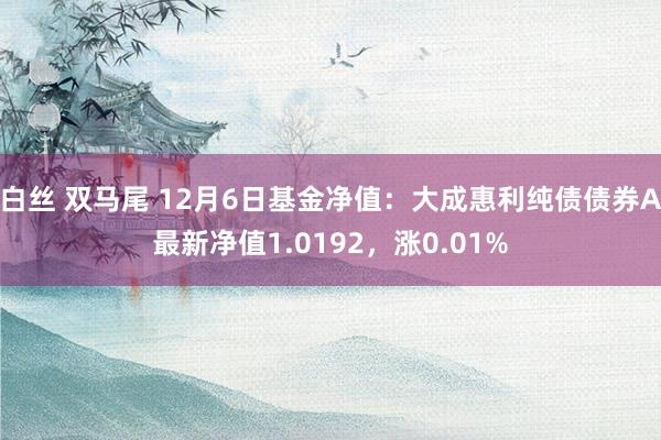 白丝 双马尾 12月6日基金净值：大成惠利纯债债券A最新净值1.0192，涨0.01%