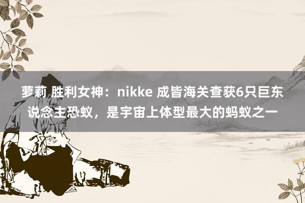 萝莉 胜利女神：nikke 成皆海关查获6只巨东说念主恐蚁，是宇宙上体型最大的蚂蚁之一